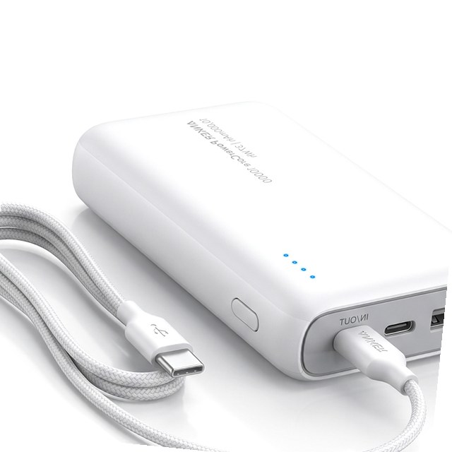 Travel Charger Adapter, Surge Protected